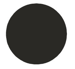 PRTA2030PI: Black Blank Button For Double Element